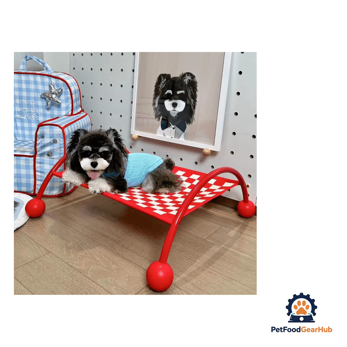 PetFoodGearHub Detachable Pet Sofa and Hammock - product image 11