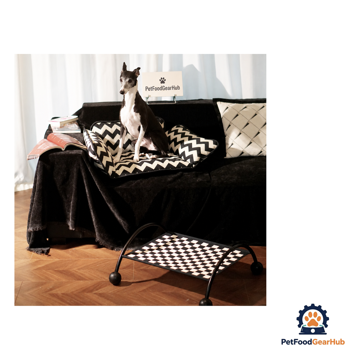PetFoodGearHub Detachable Pet Sofa and Hammock - product image 14