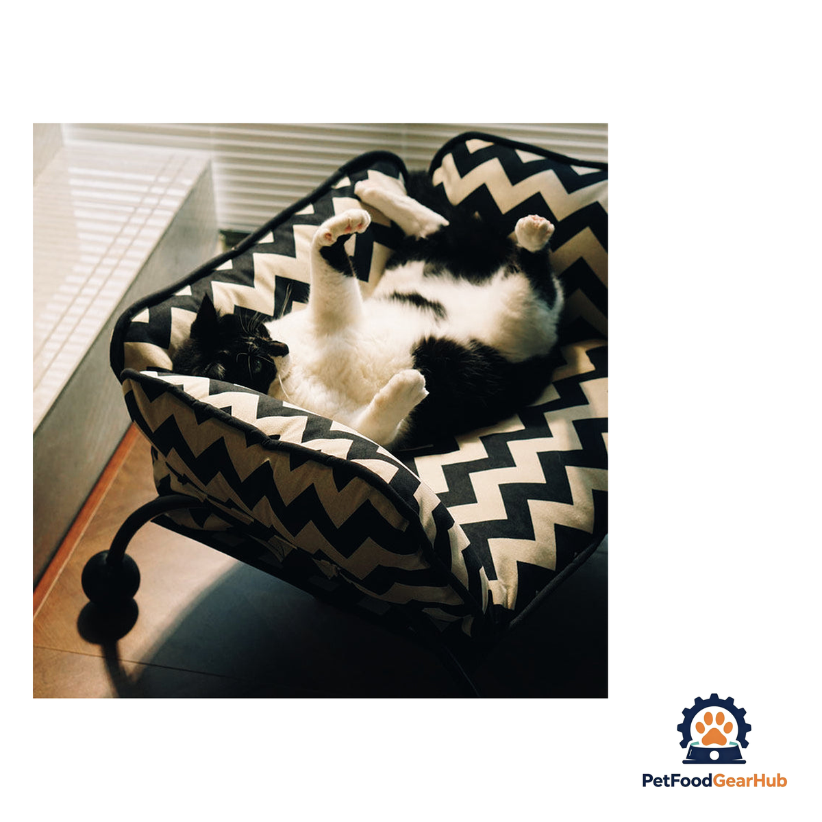 PetFoodGearHub Detachable Pet Sofa and Hammock - product image 17
