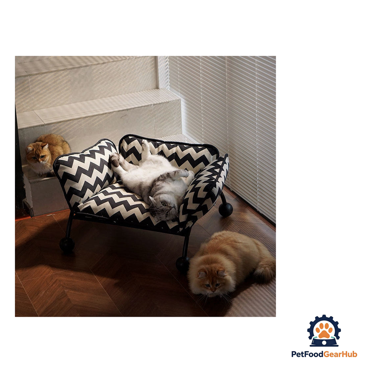 PetFoodGearHub Convertible Raised Pet Sofa Hammock - product image 18