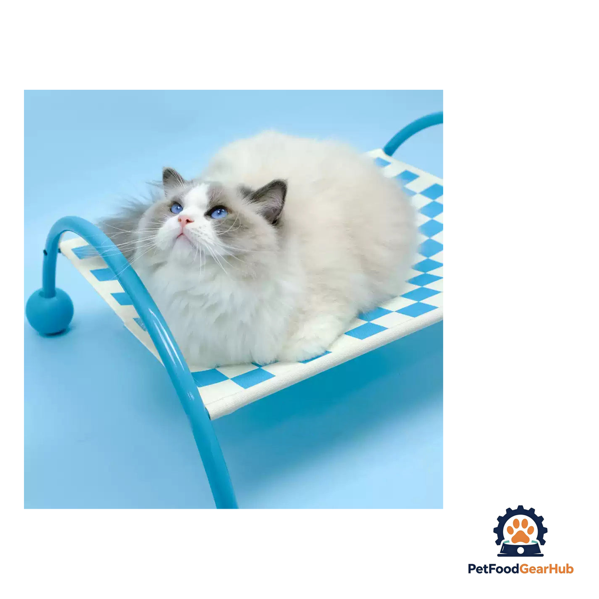 PetFoodGearHub Convertible Raised Pet Sofa Hammock - product image 23