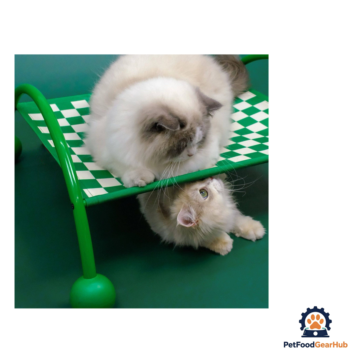 PetFoodGearHub Convertible Raised Pet Sofa Hammock - product image 28