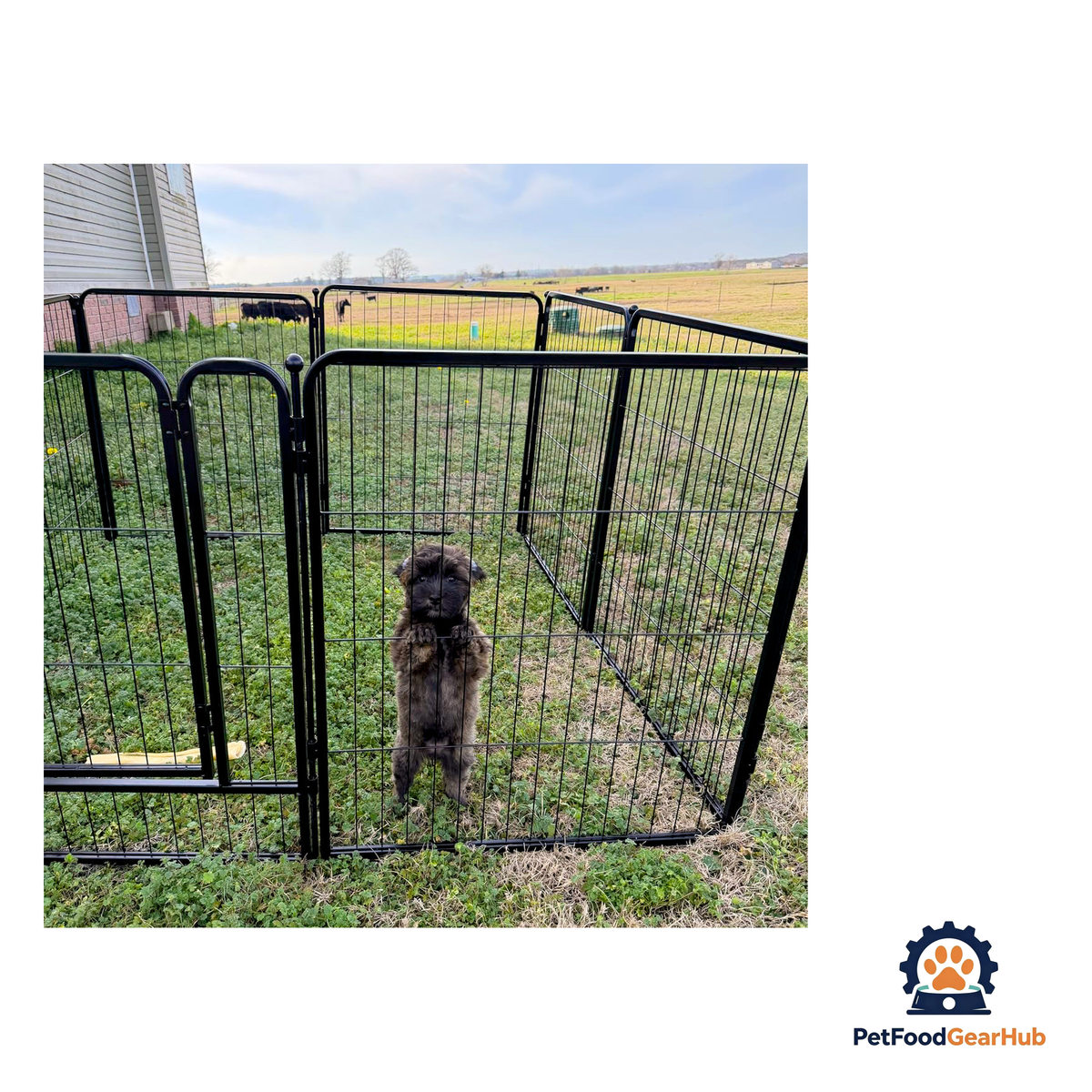 PetFoodGearHub Eight-Panel Modular Pet Playpen and Barrier - product image 26