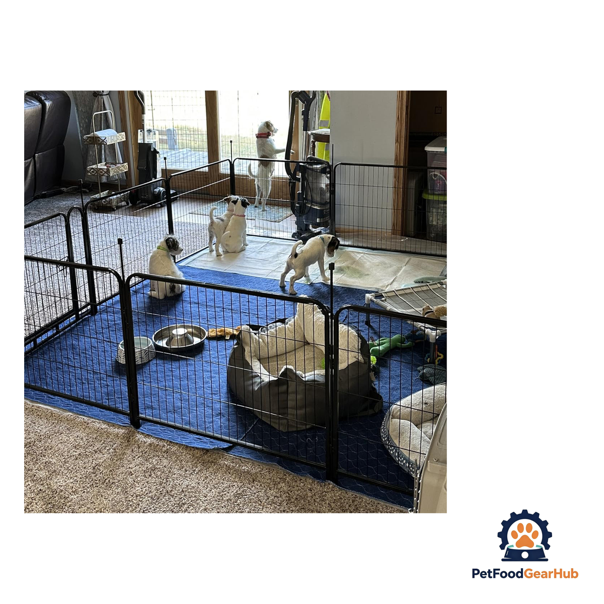 PetFoodGearHub Extendable Modular Pet Playpen (8-Pcs Set) - product image 29