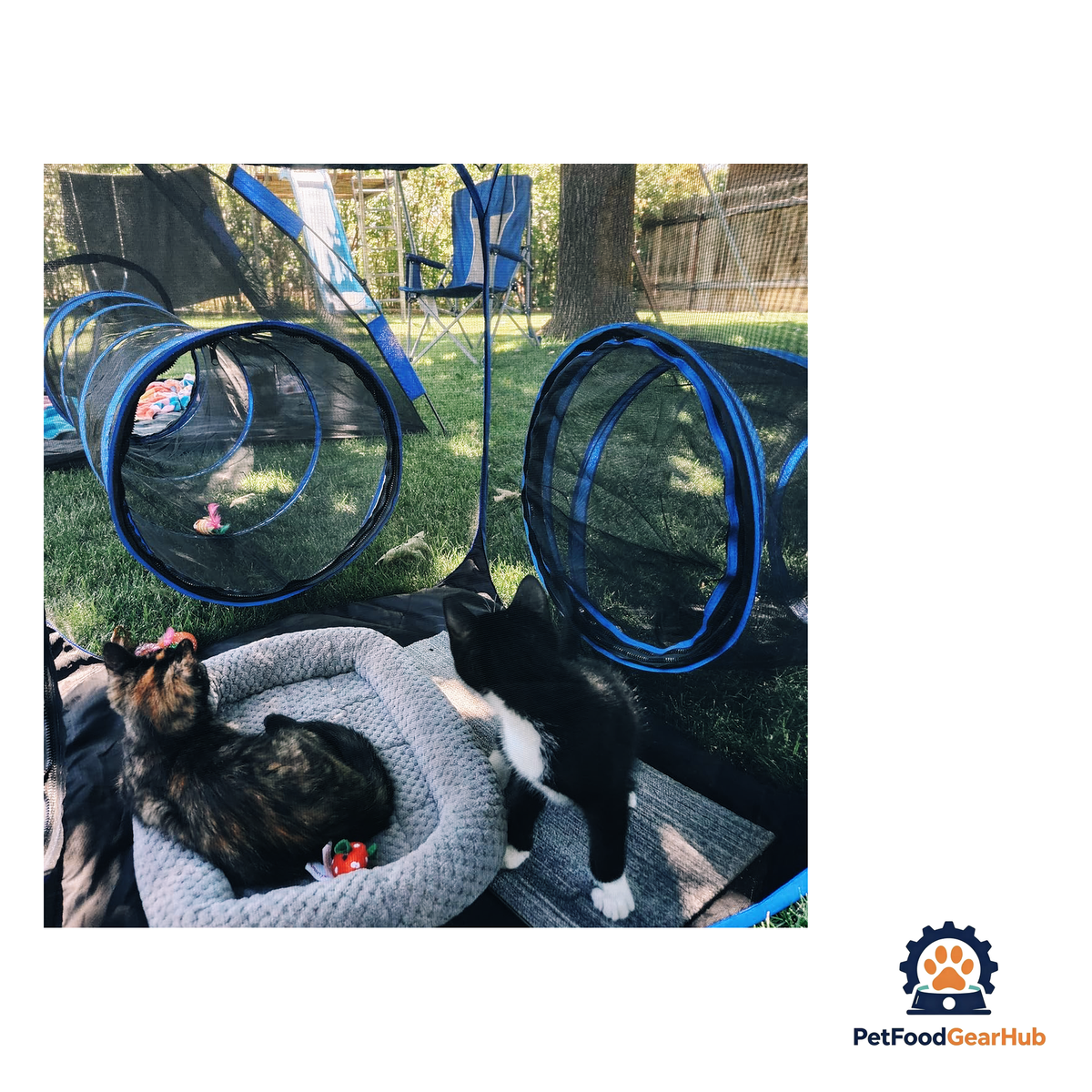 PetFoodGearHub Collapsible Modular Pet Playpen - product image 15