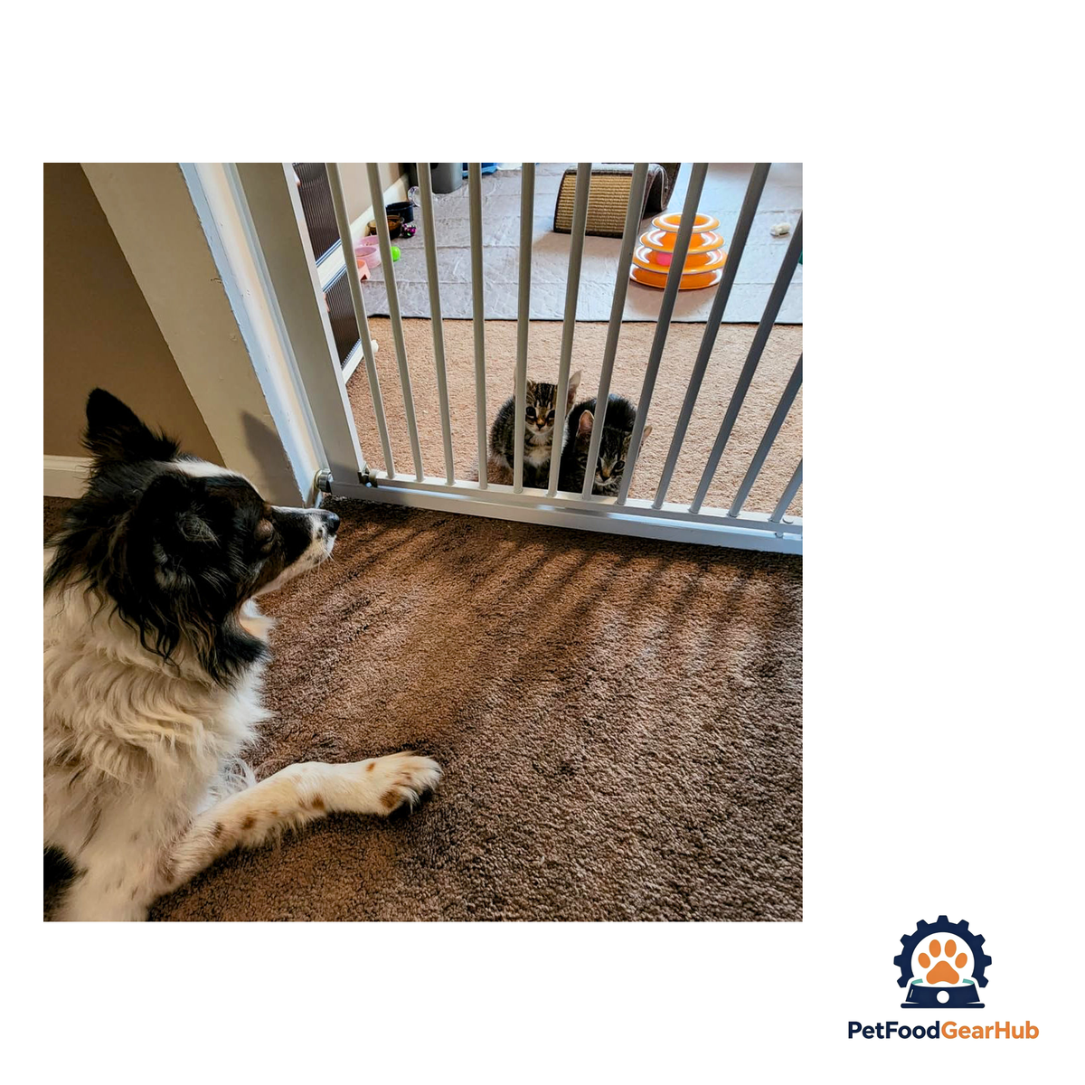 PetFoodGearHub Adjustable No-Drill Safety Pet Gate - product image 3