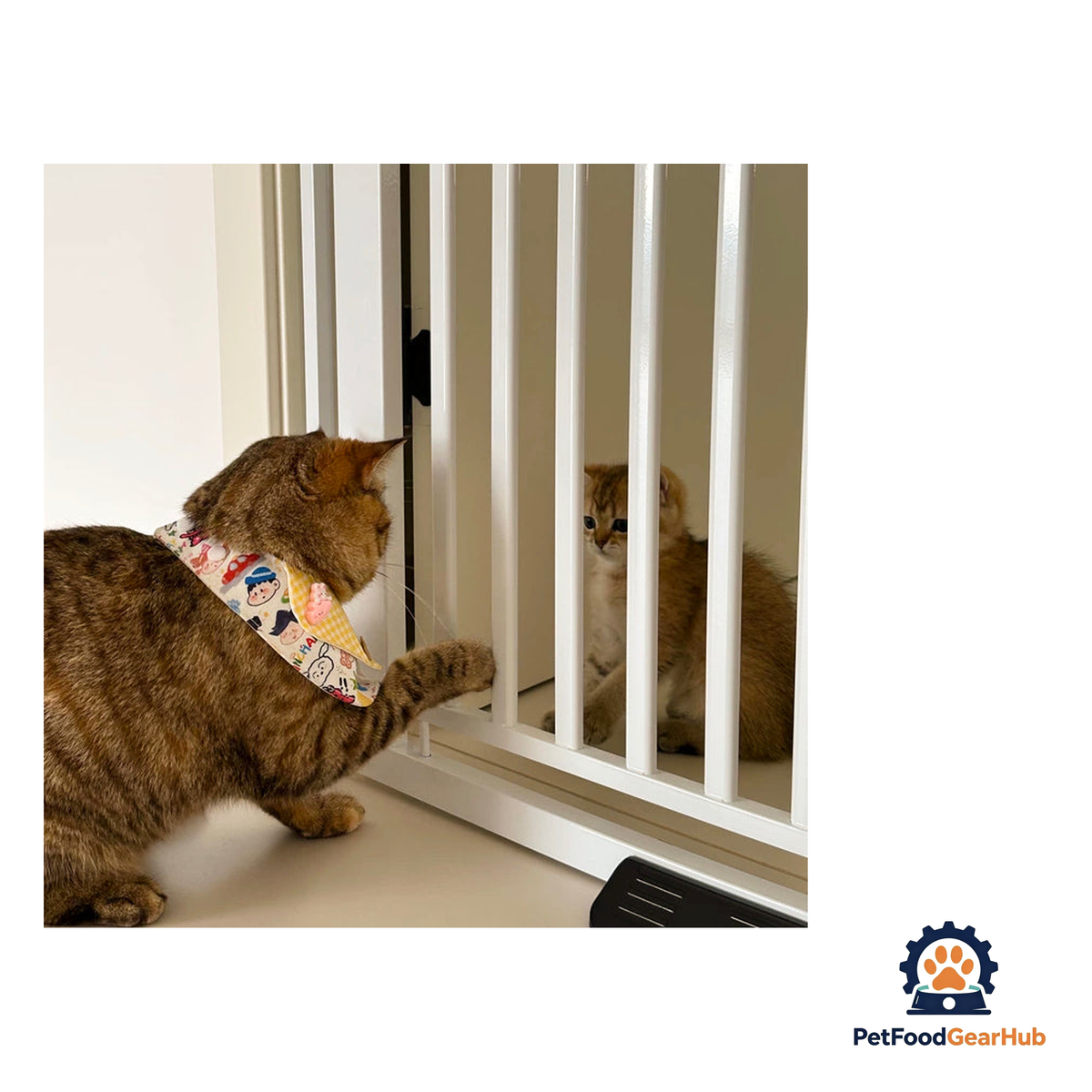 PetFoodGearHub Adjustable No-Drill Safety Pet Gate - product image 5