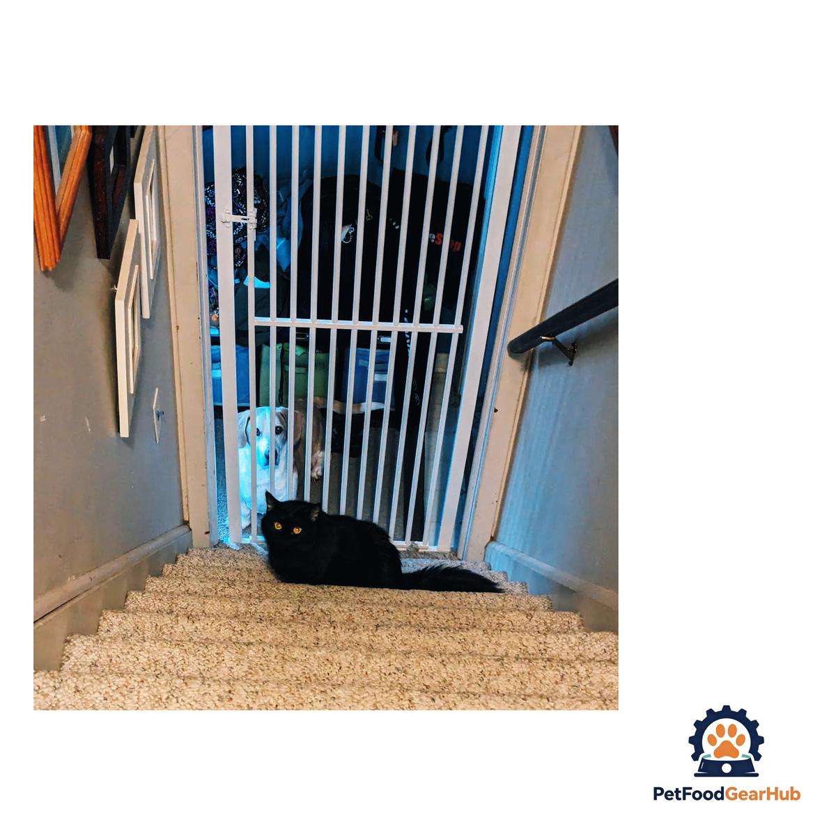 PetFoodGearHub Adjustable No-Drill Safety Pet Gate - product image 9
