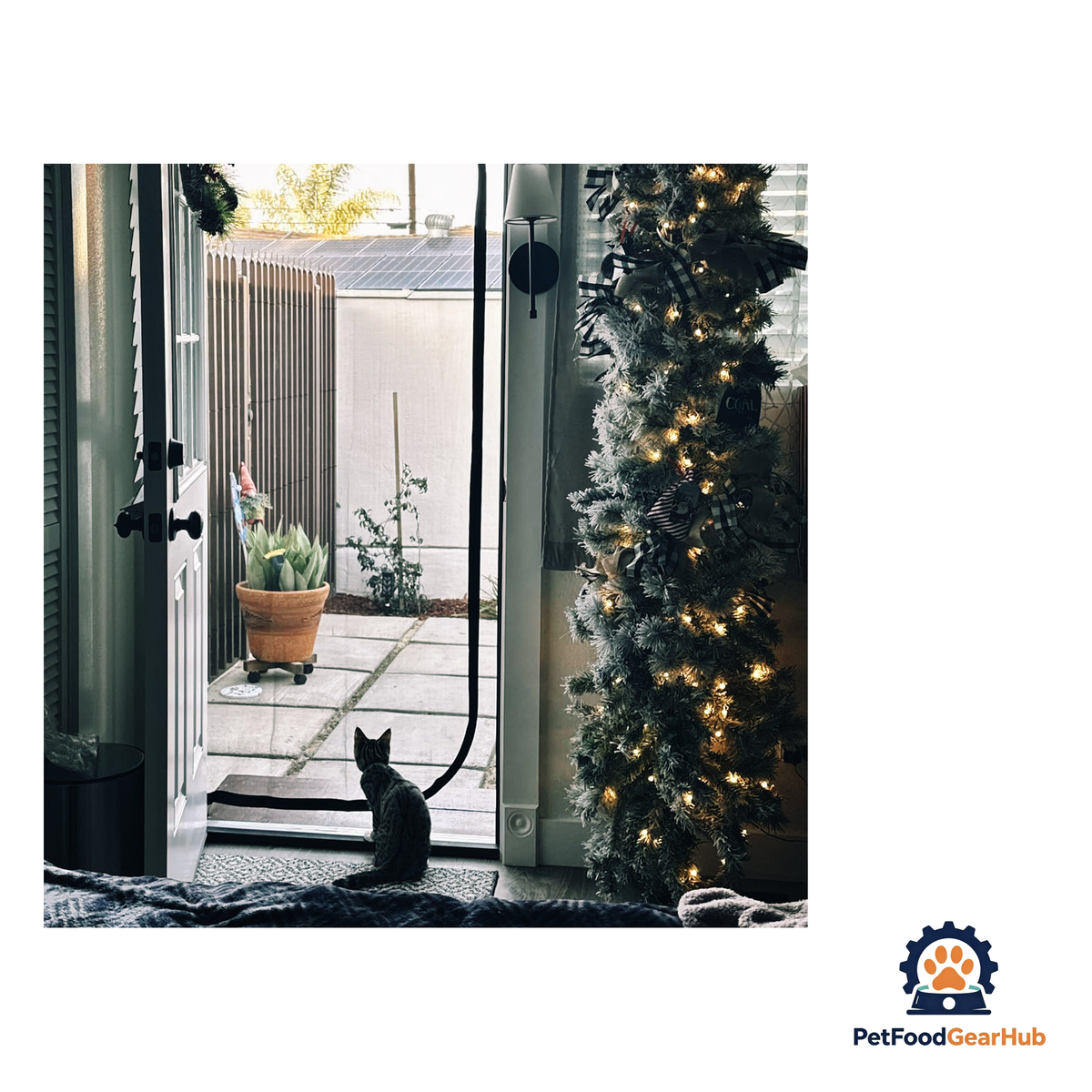 PetFoodGearHub Zip-In Mesh Cat Door Curtain - product image 7