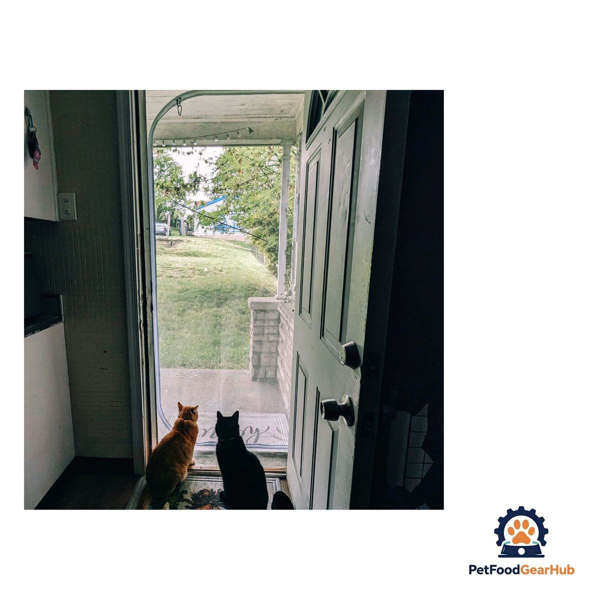 PetFoodGearHub Zip-In Mesh Cat Door Curtain - product image 11