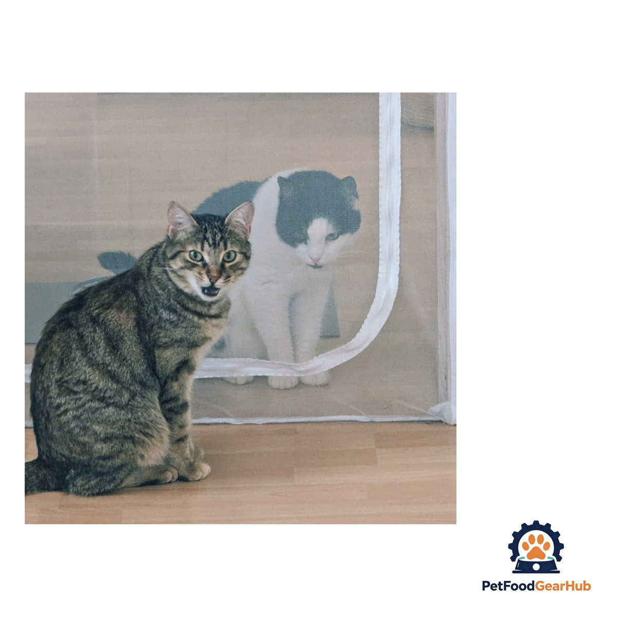 PetFoodGearHub Zip-In Mesh Cat Door Curtain - product image 12