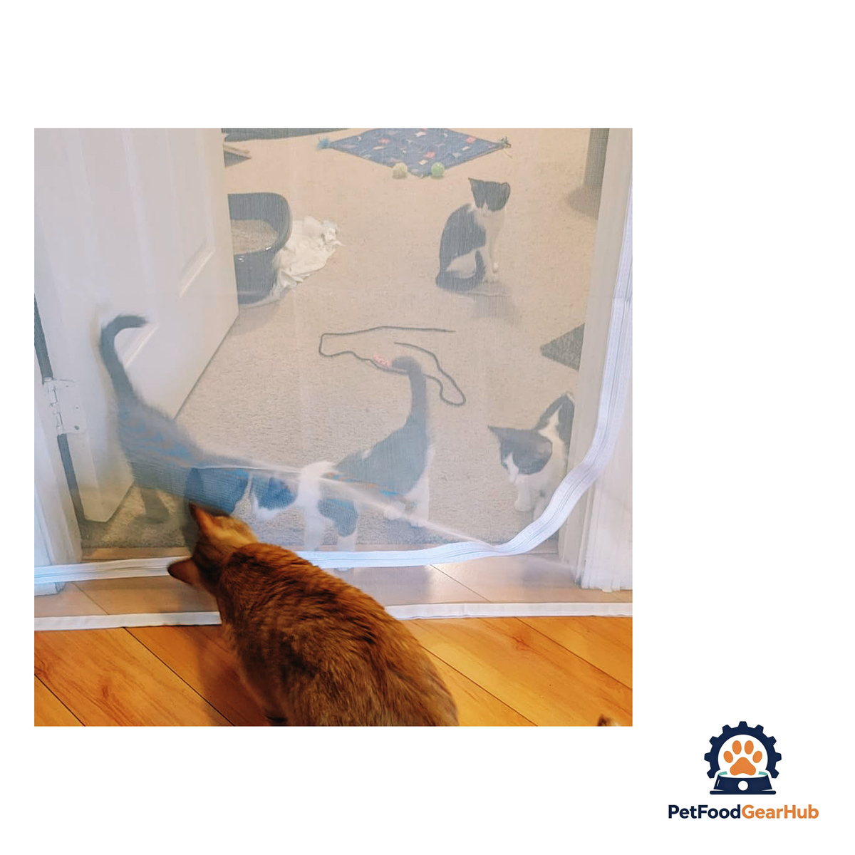 PetFoodGearHub Zip-In Mesh Cat Door Curtain - product image 13
