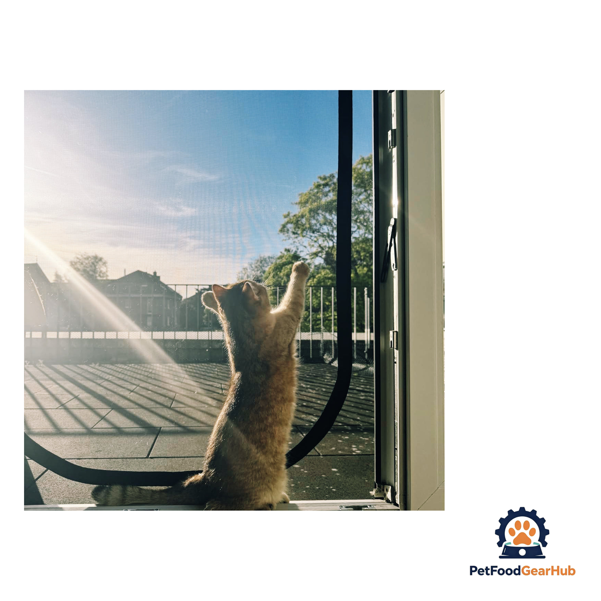 PetFoodGearHub Zip-In Mesh Cat Door Curtain - product image 14