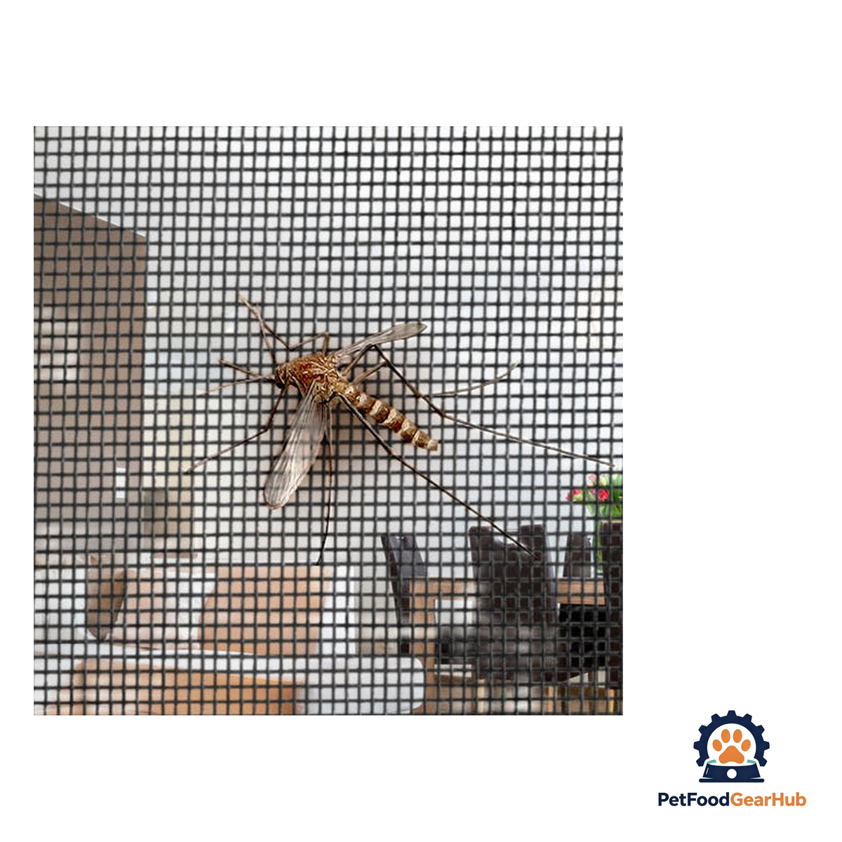 PetFoodGearHub Zip-In Mesh Cat Door Curtain - product image 22