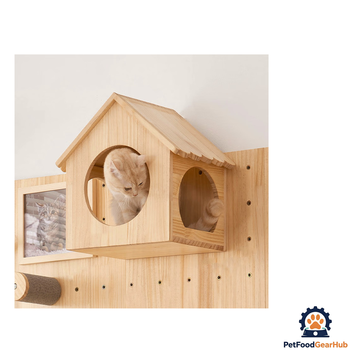 PetFoodGearHub Wall-Mount Cat Adventure Set - product image 8