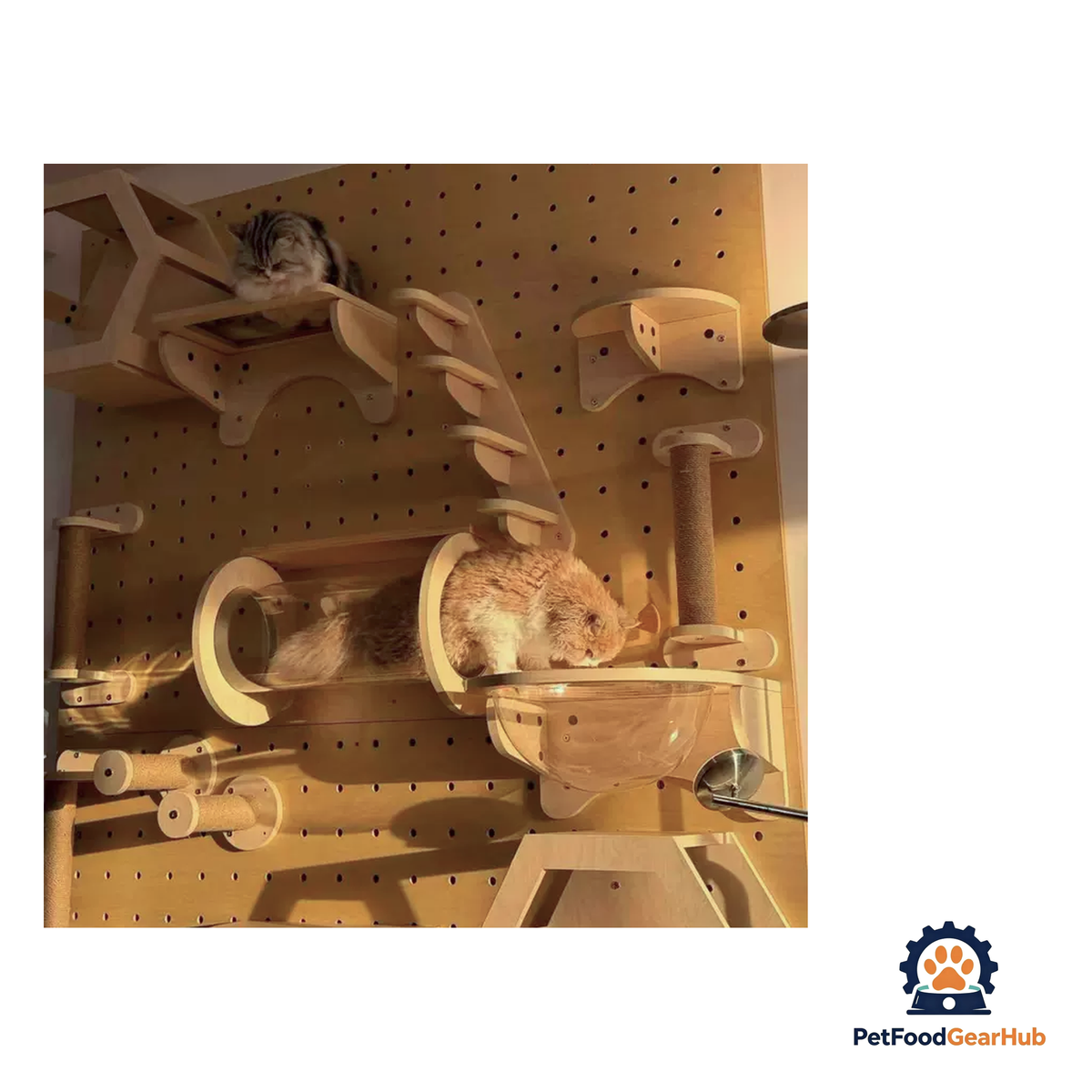 PetFoodGearHub Wall-Mounted Cat Adventure Board - product image 20