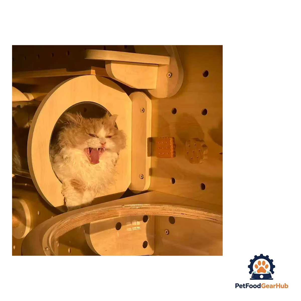 PetFoodGearHub DIY Wall-Mounted Cat Adventure Board - product image 21