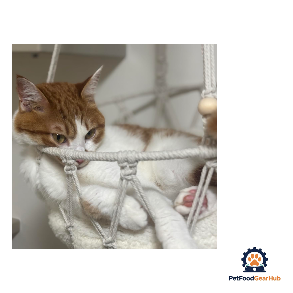 PetFoodGearHub DIY Wall-Mounted Cat Adventure Board - product image 23