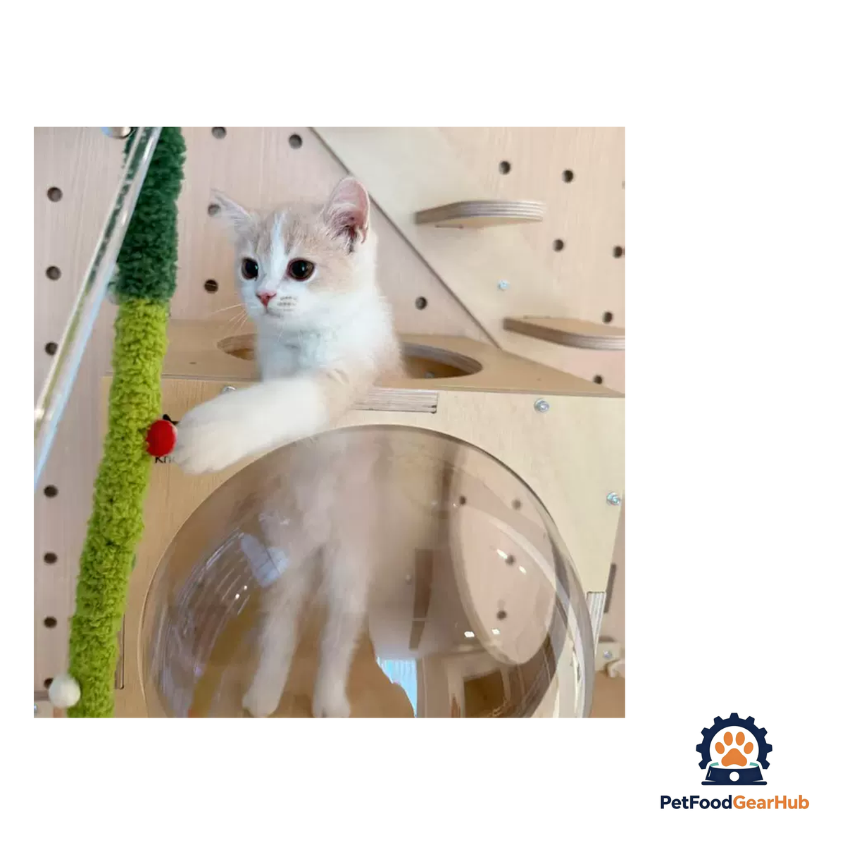 PetFoodGearHub Wall-Mounted Cat Adventure Board - product image 24