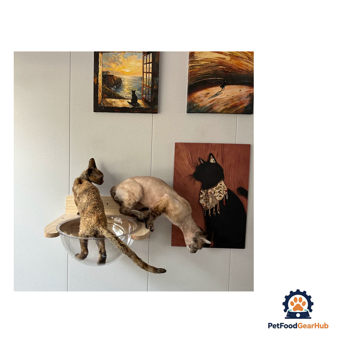 PetFoodGearHub DIY Wall-Mounted Cat Adventure Board - product image 28