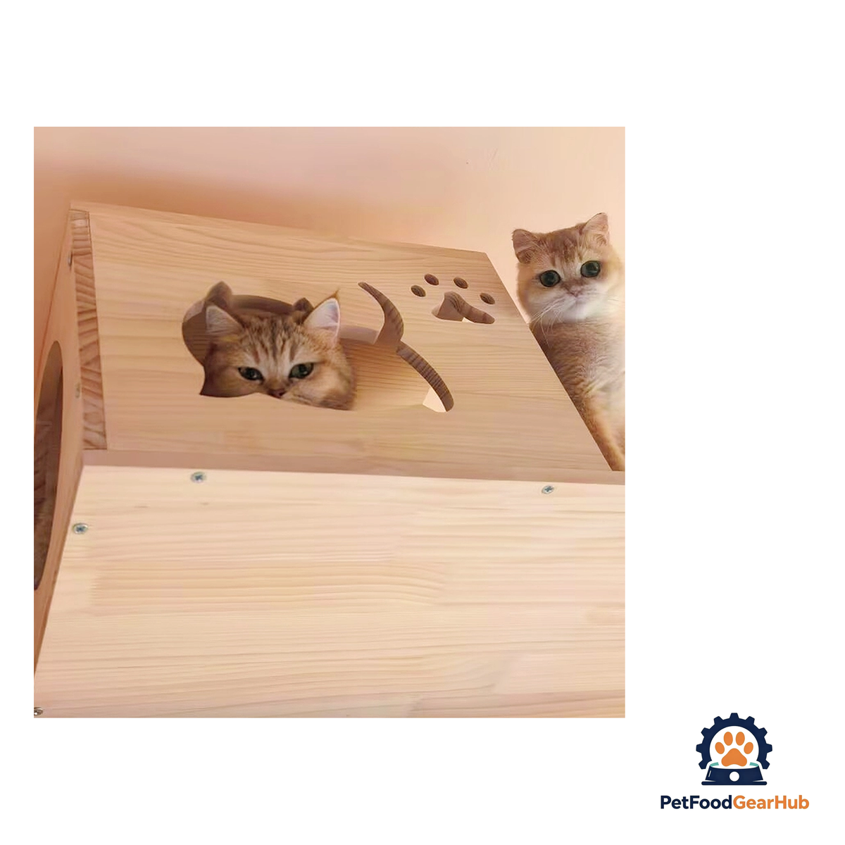 PetFoodGearHub Wall-Mounted Cat Adventure Board - product image 30