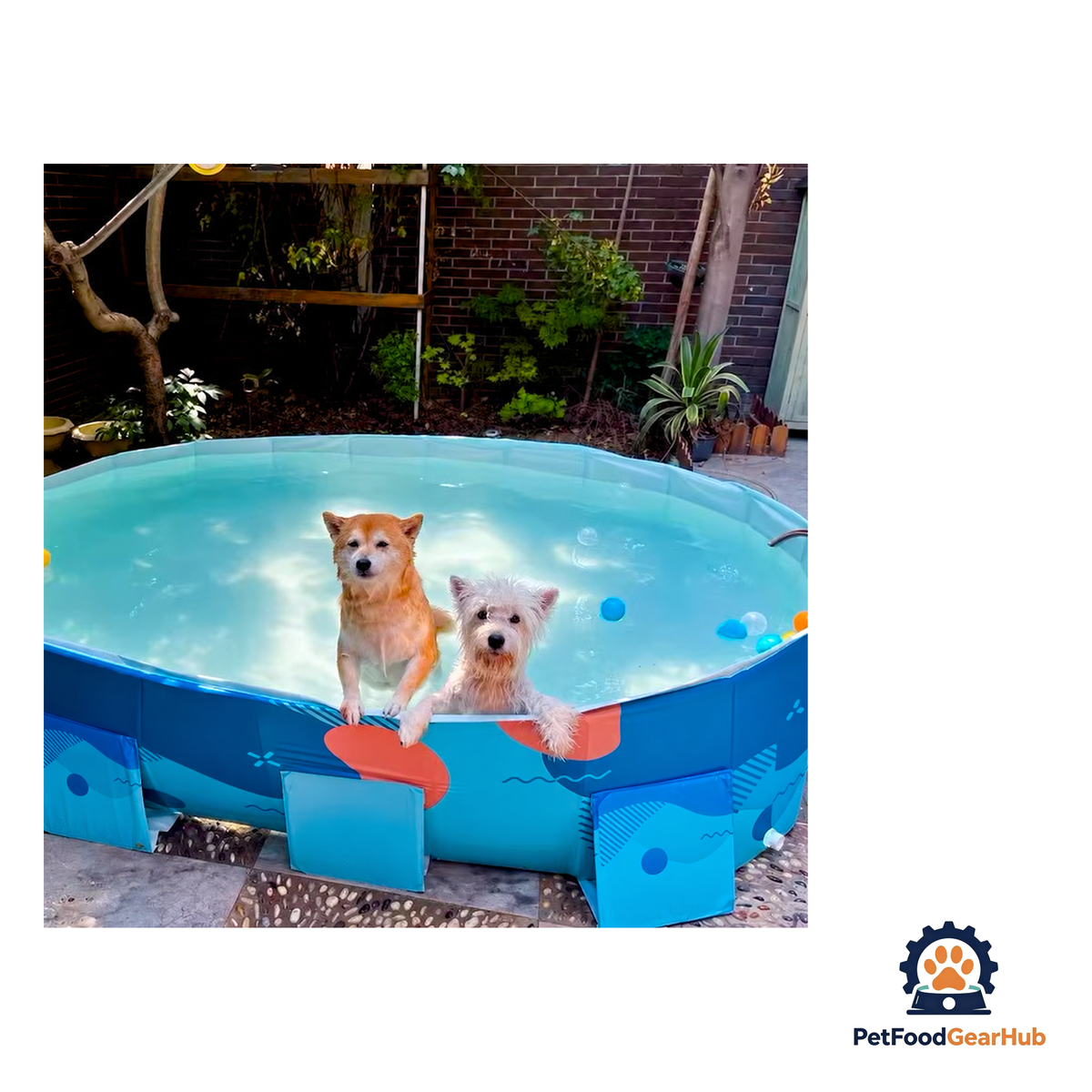 PetFoodGearHub Outdoor Foldable Dog Pool - product image 3