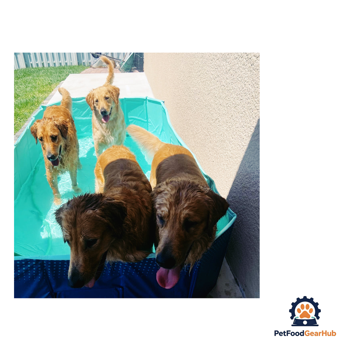 PetFoodGearHub Outdoor Foldable Dog Pool - product image 5