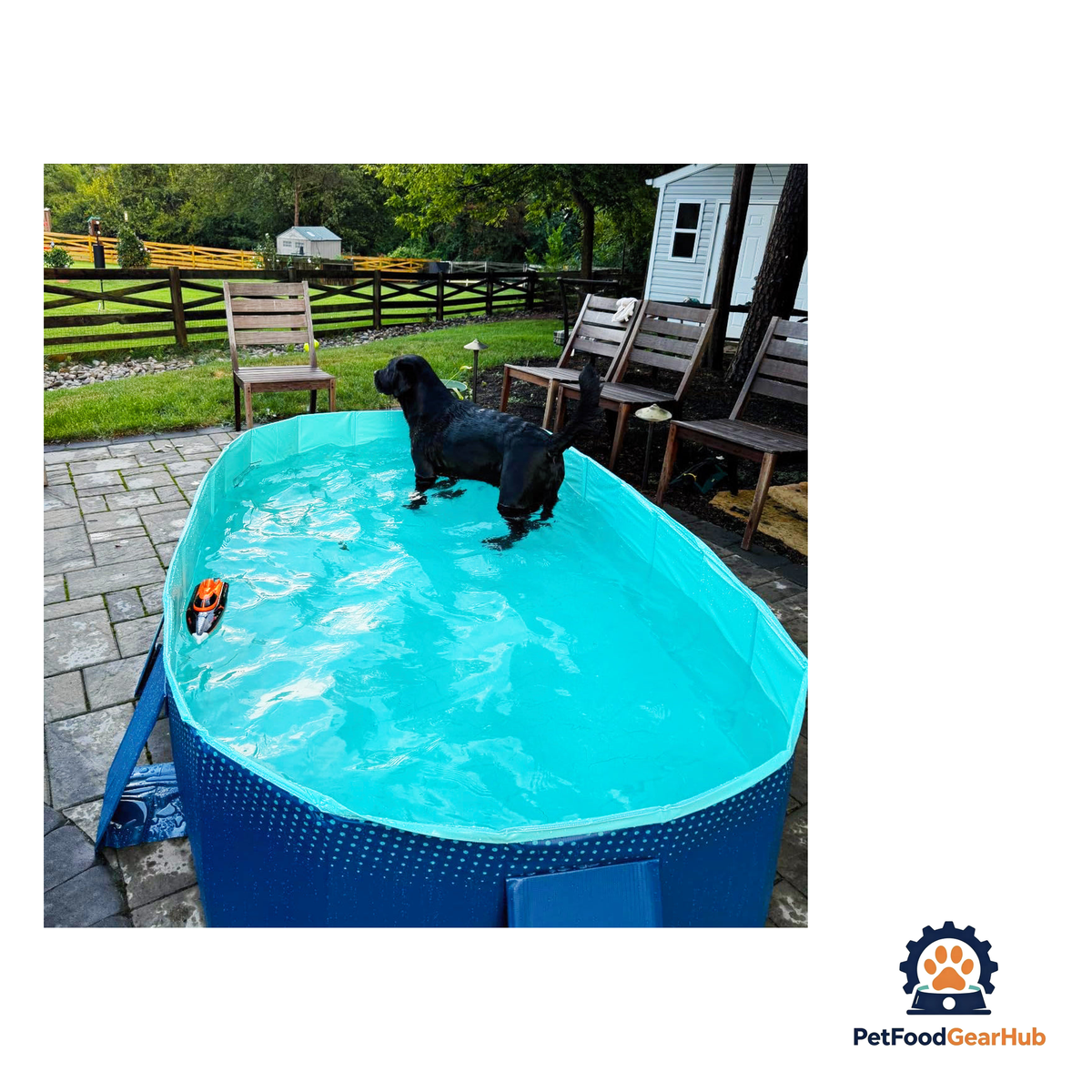 PetFoodGearHub Outdoor Foldable Dog Pool - product image 7