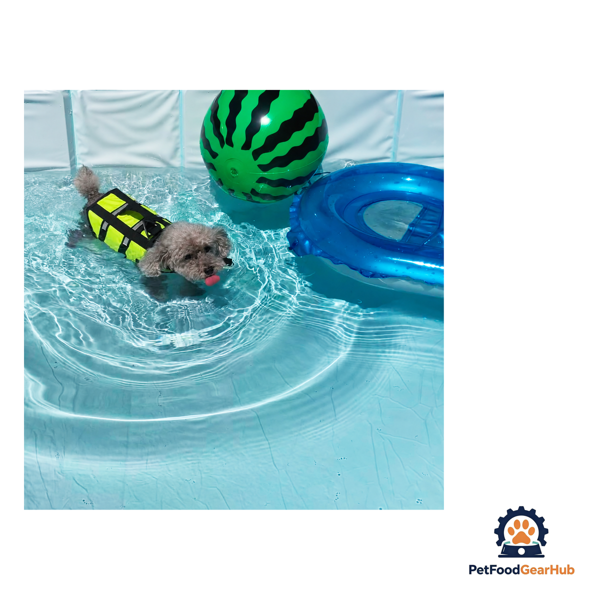 PetFoodGearHub Outdoor Foldable Dog Pool - product image 16