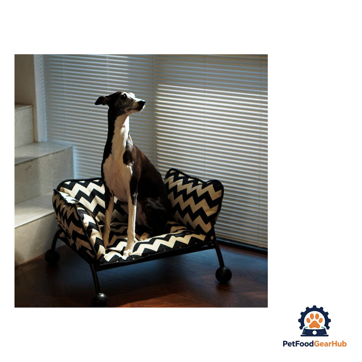 PetFoodGearHub Convertible Raised Pet Sofa Hammock - product image 15