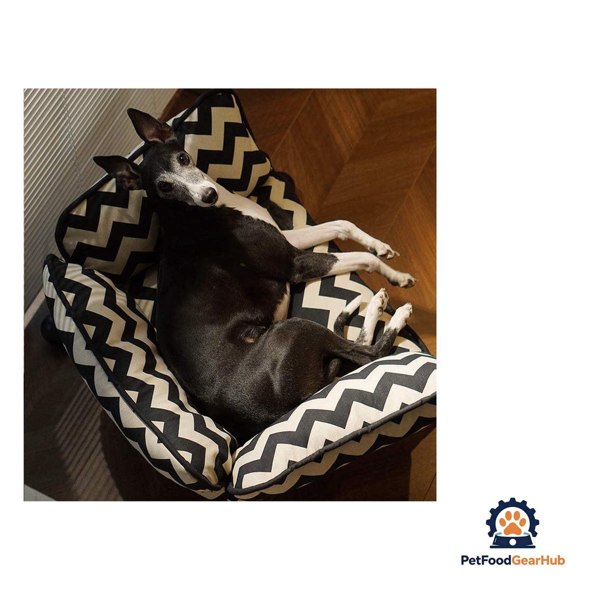 PetFoodGearHub Convertible Raised Pet Sofa Hammock - product image 16