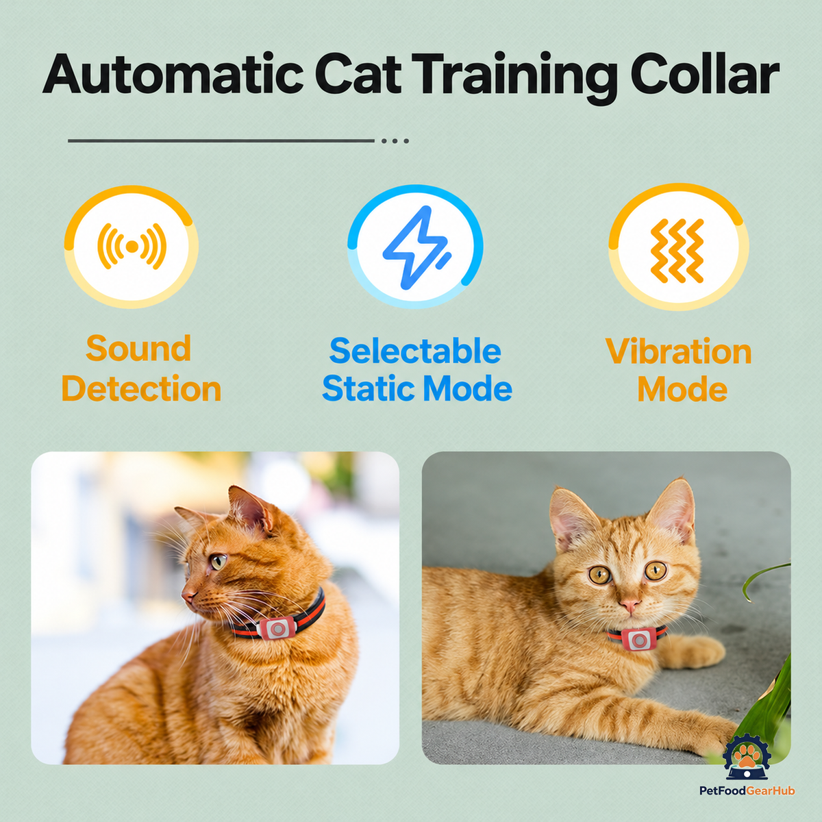 PetFoodGearHub Automatic and Remote Cat Training Collar - product view 3