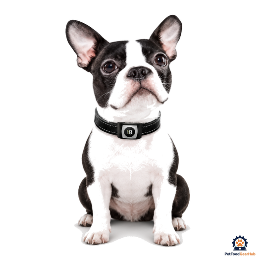 PetFoodGearHub Automatic Dog Training Collar - product view 1