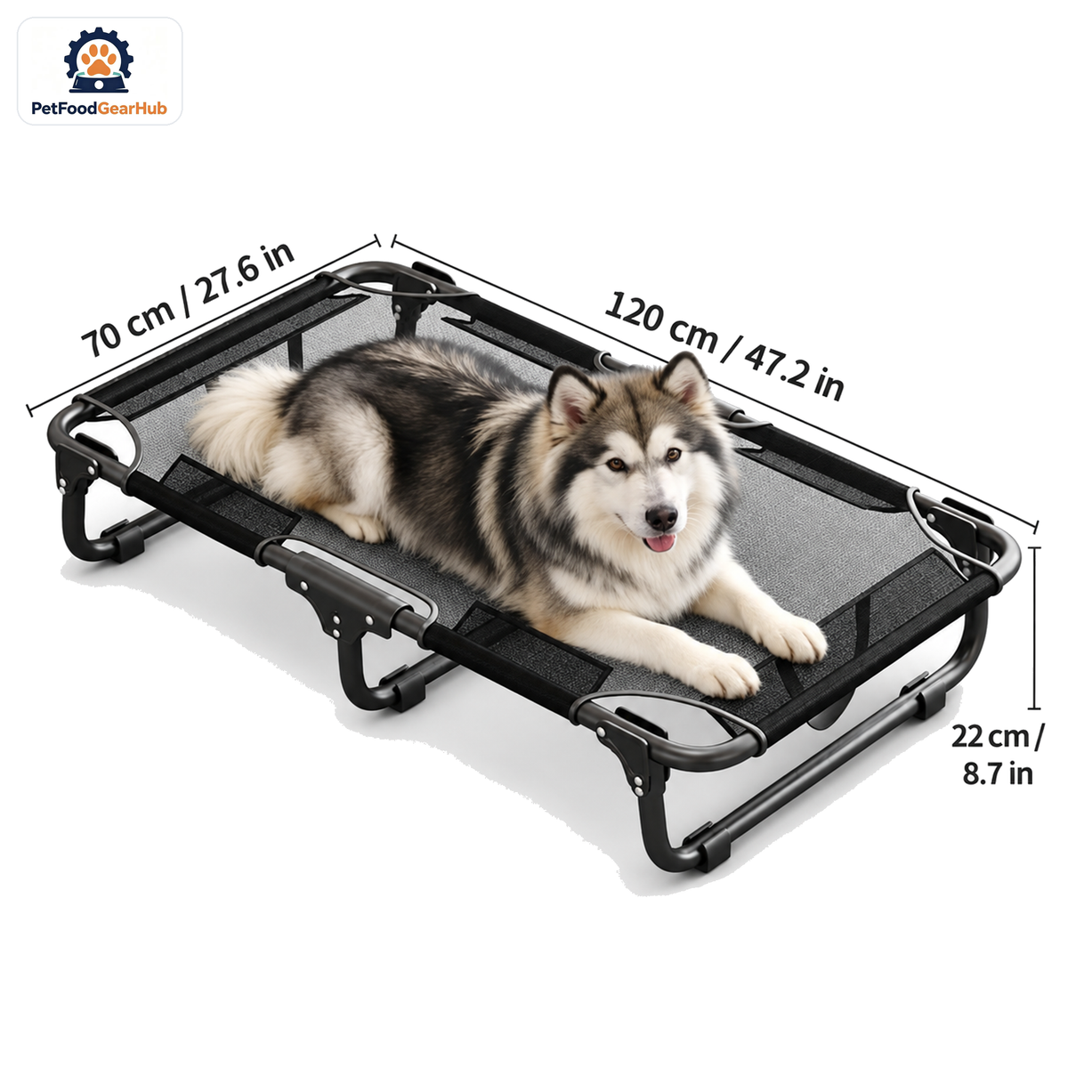 PetFoodGearHub Folding Elevated Dog Bed, XL, 120 × 70 × 22 cm (47.2 × 27.6 × 8.7 in) — product image 1