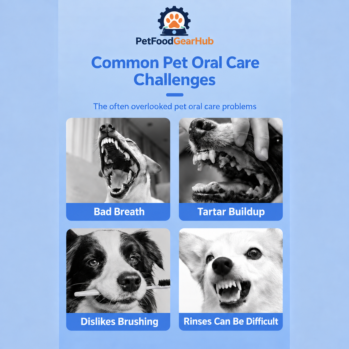 PetFoodGearHub dental finger wipes and eye wipes