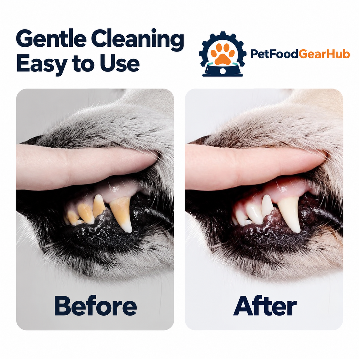 PetFoodGearHub dental finger wipes and eye wipes