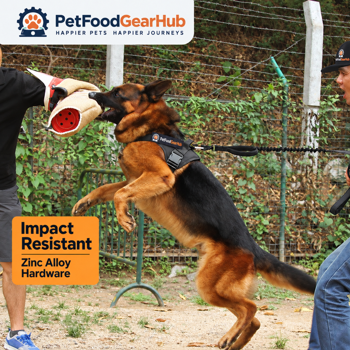 PetFoodGearHub German Shepherd wearing a harness during supervised training