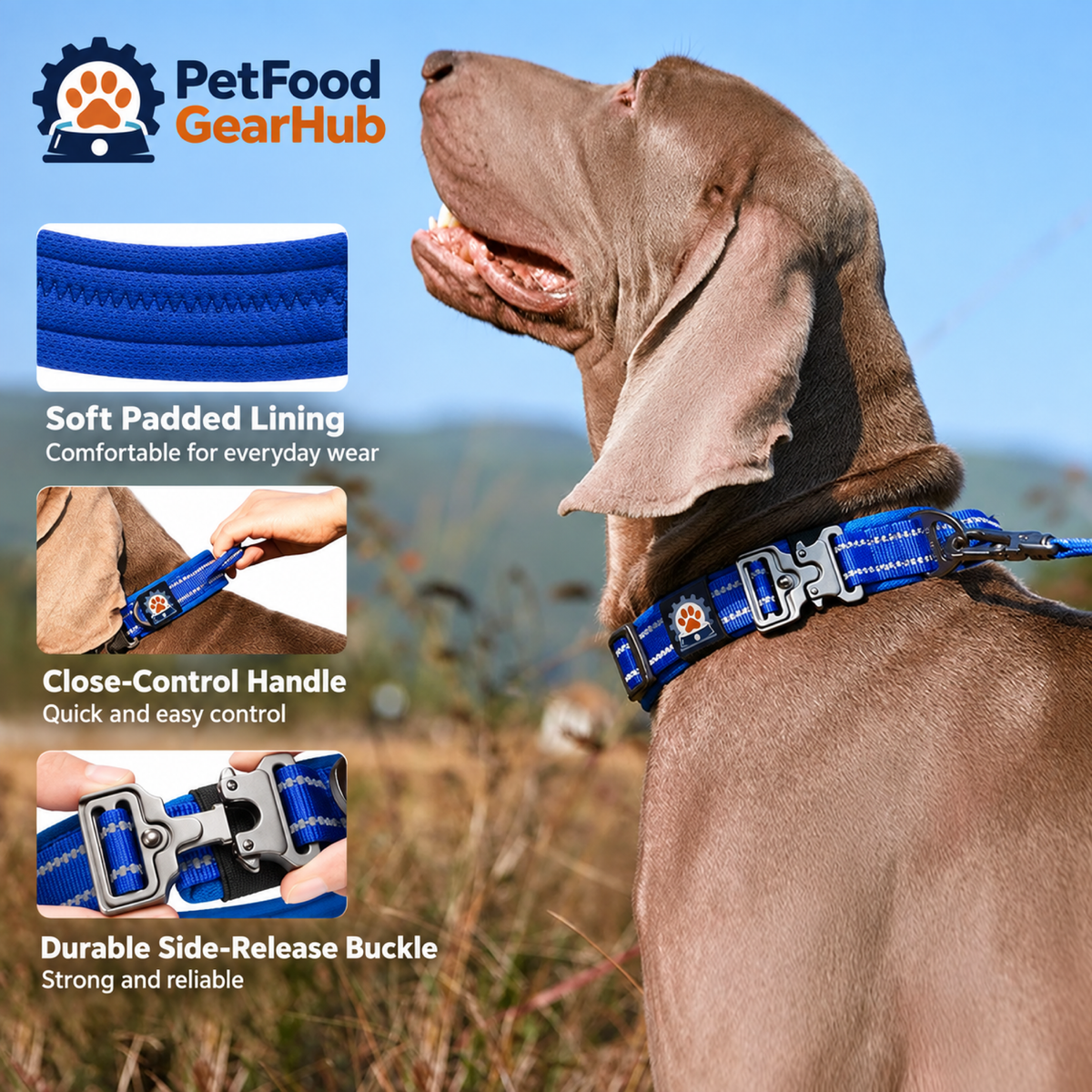 PetFoodGearHub Dog wearing a padded reflective collar