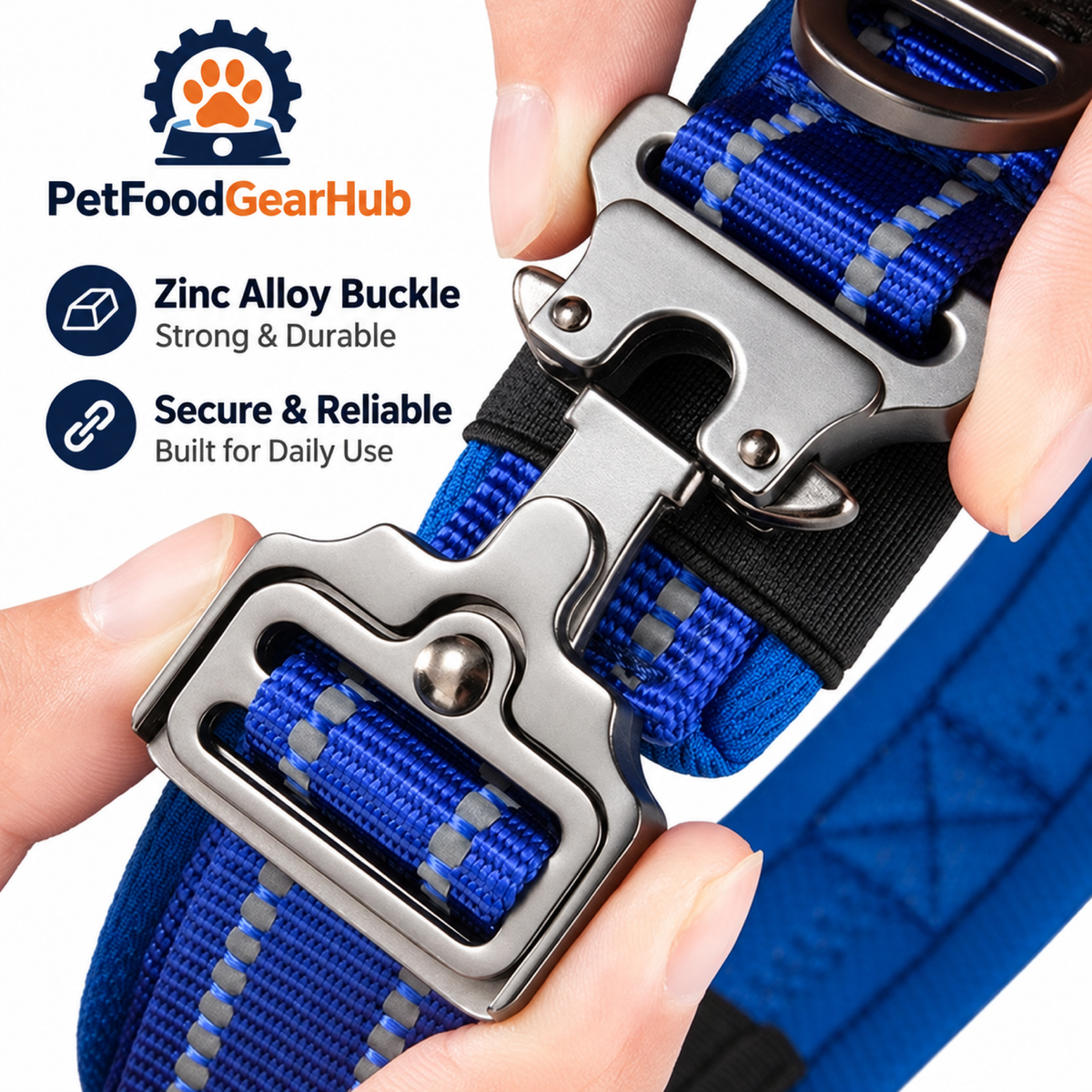 PetFoodGearHub Hands fastening a metal collar buckle