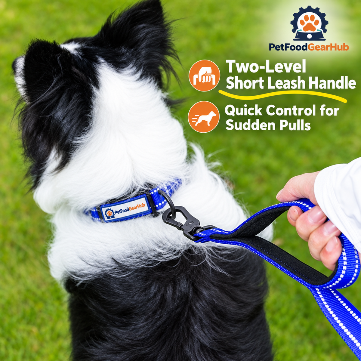 PetFoodGearHub Short leash handhold for close control