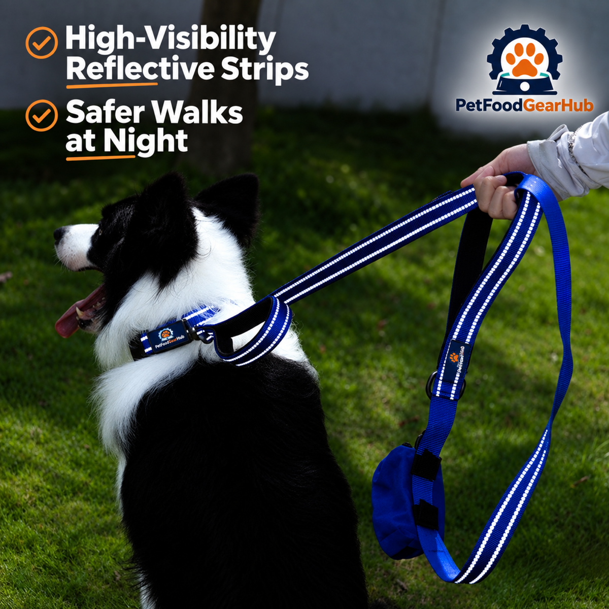 PetFoodGearHub Reflective dog leash illuminated in low light
