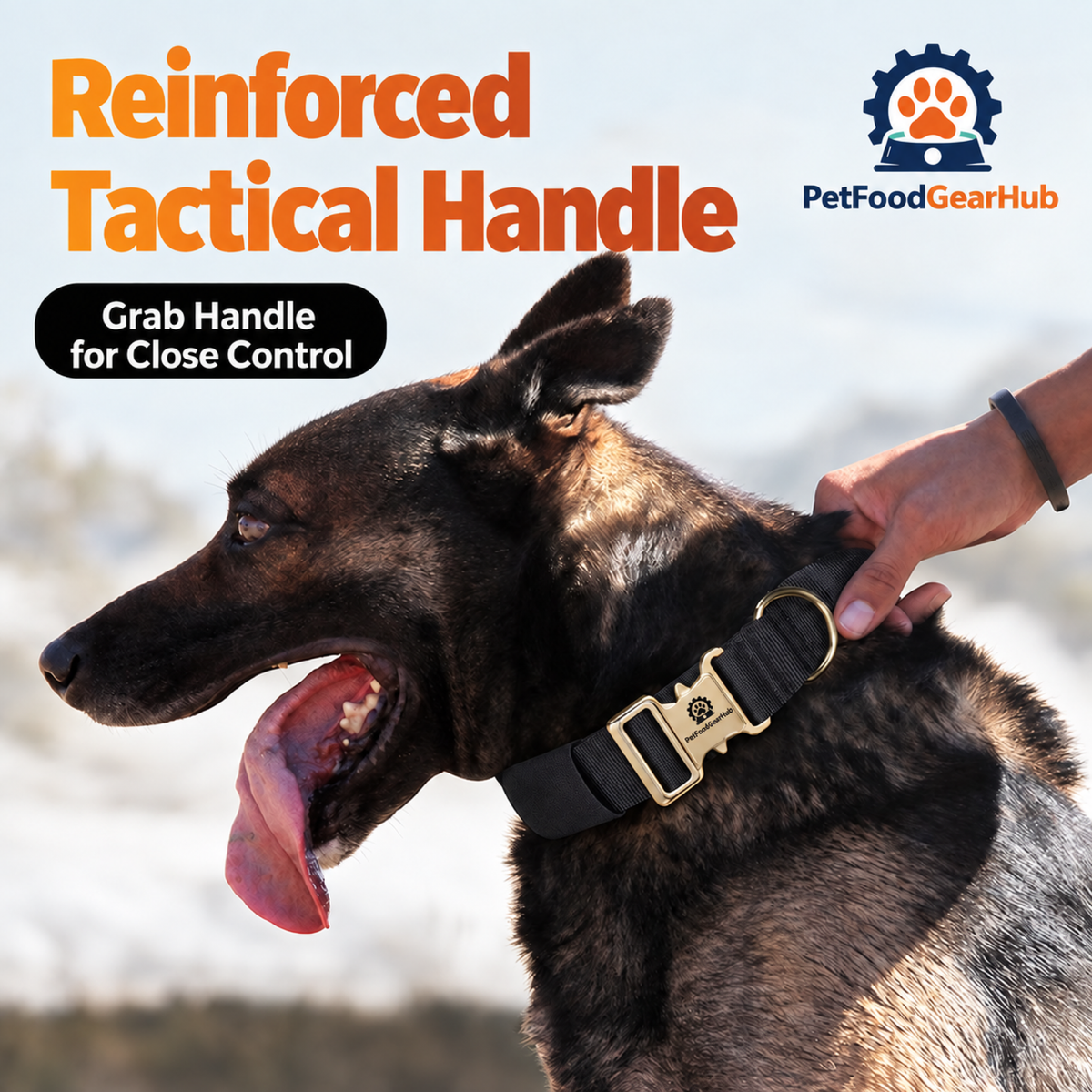 PetFoodGearHub Dog collar grab handle in use