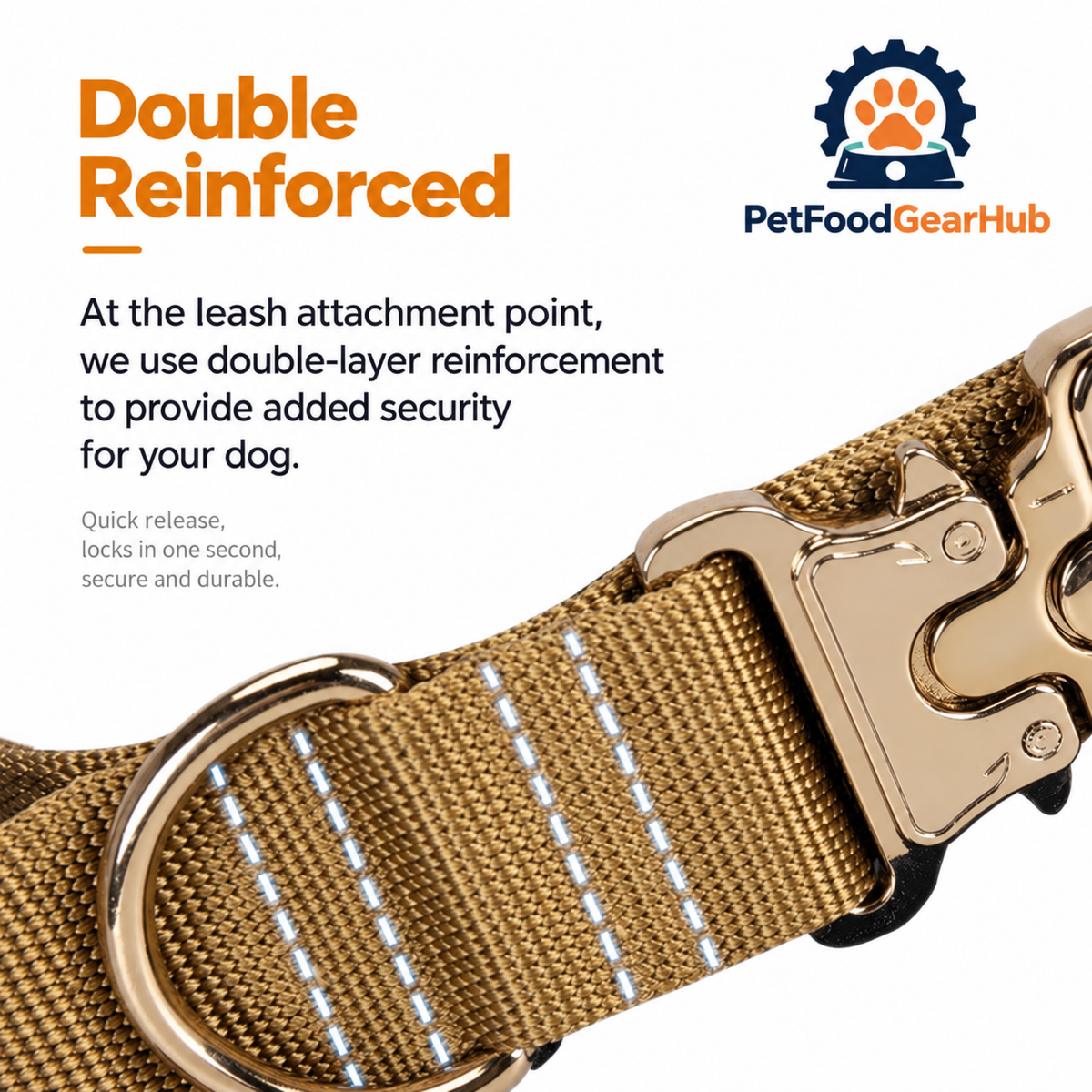 PetFoodGearHub Reinforced collar D-ring attachment