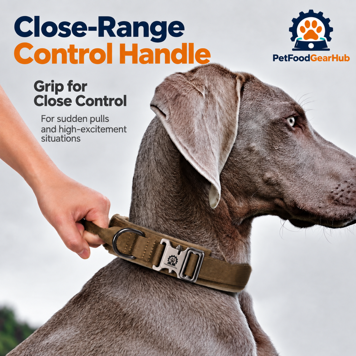 PetFoodGearHub Tactical collar grab handle in use