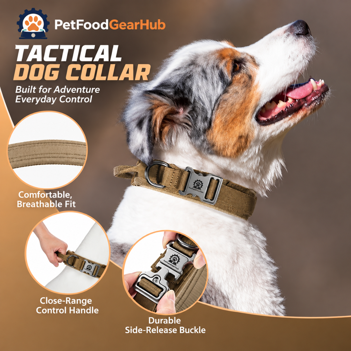 PetFoodGearHub Dog wearing a tactical collar outdoors