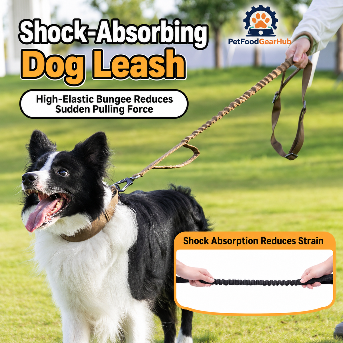 PetFoodGearHub Bungee leash in use on a walk