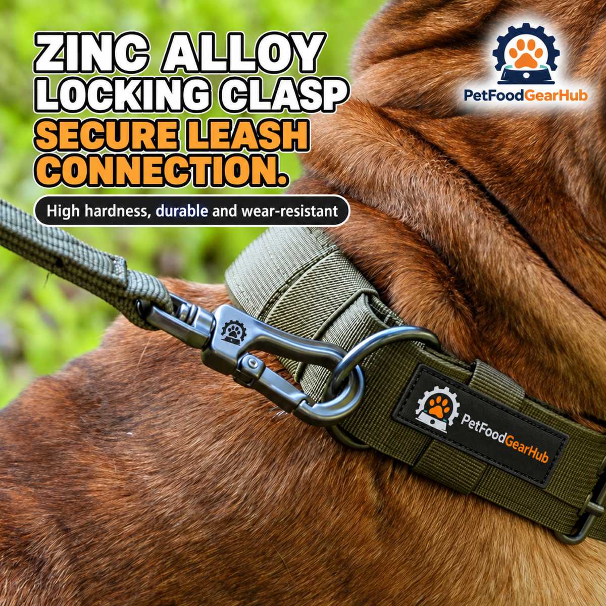 PetFoodGearHub Metal leash clip attached to a collar