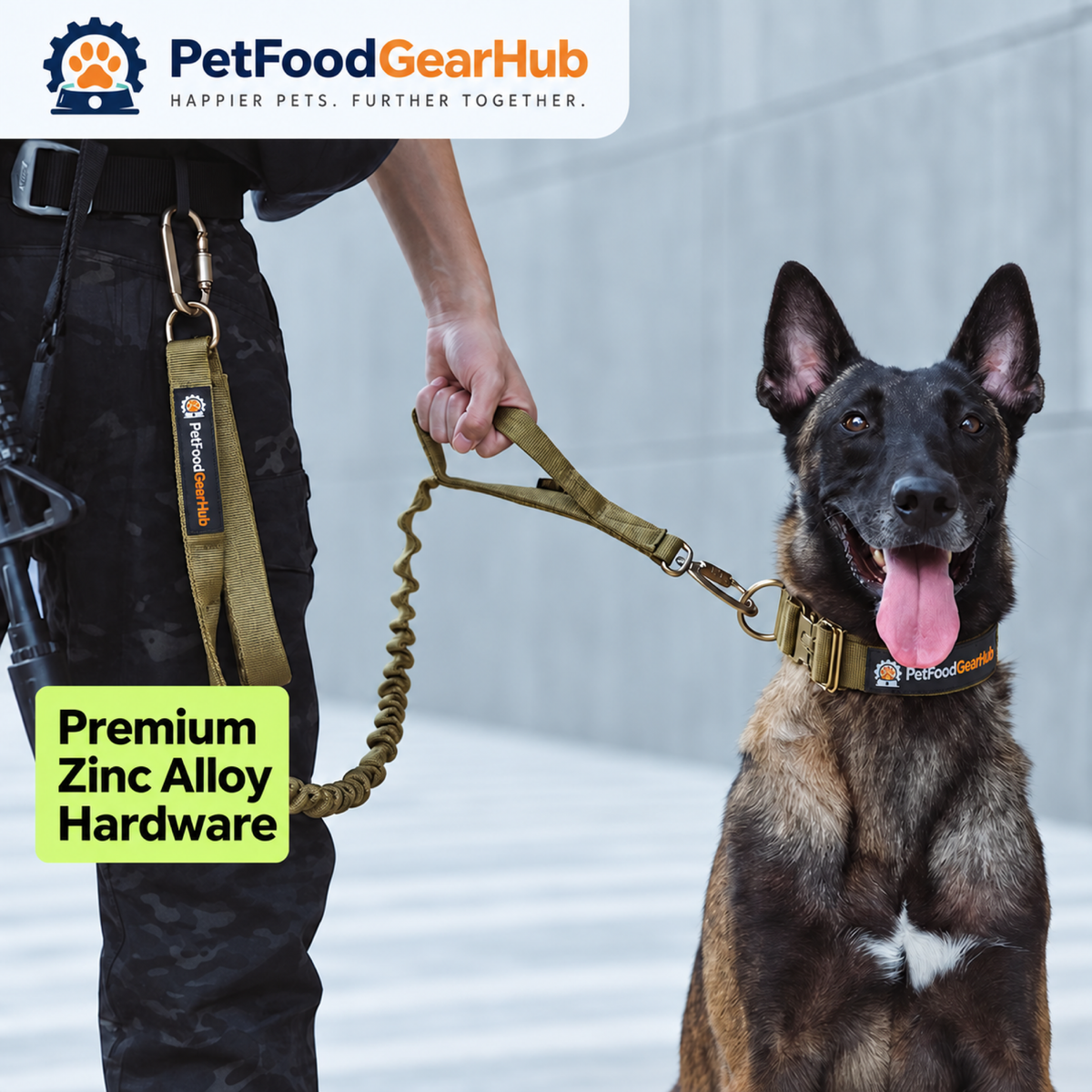 PetFoodGearHub Dog wearing a collar with a locking-clip leash