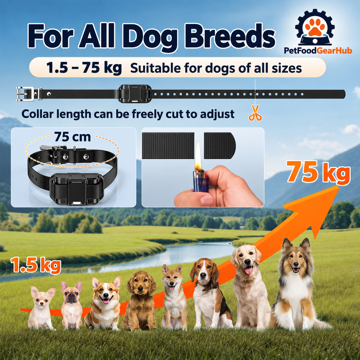PetFoodGearHub Adjustable dog training collar strap