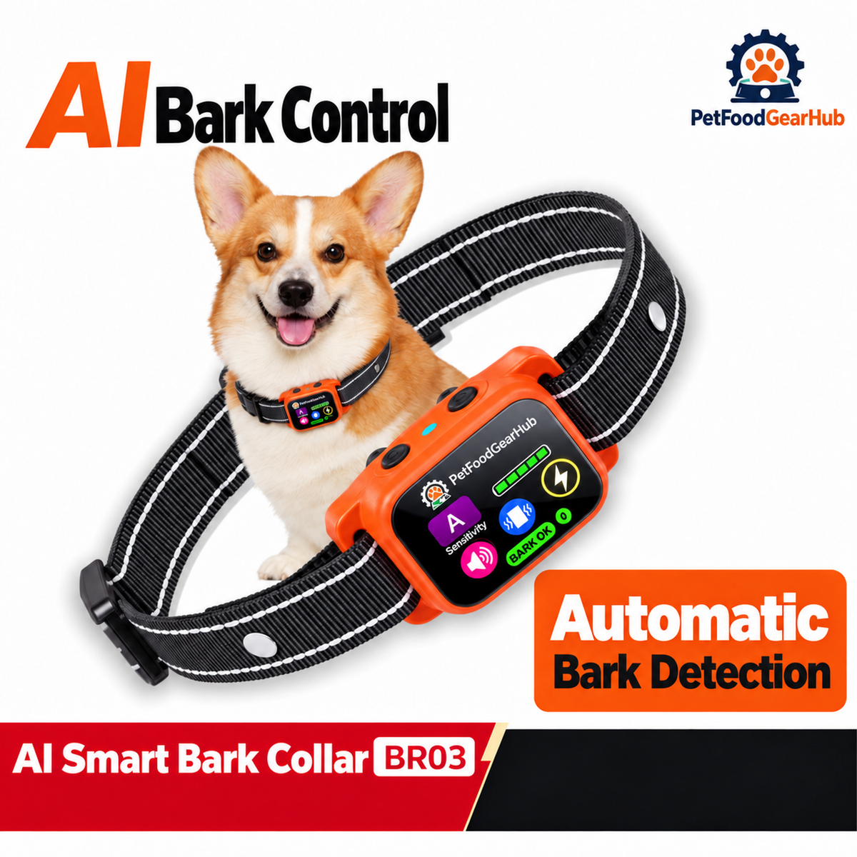 PetFoodGearHub BR03 automatic collar overview